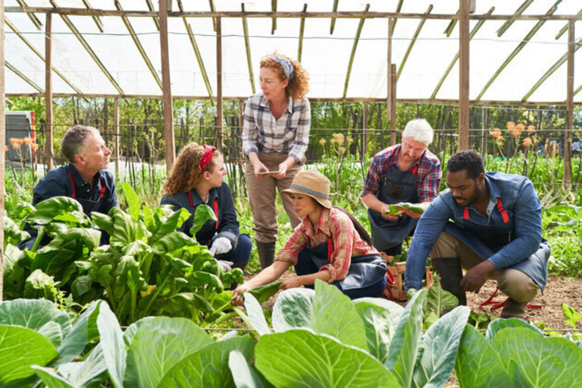 Calls grow for SNAP, young BIPOC farmer support in Farm Bill proposal