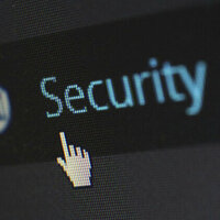 Why Players Value Security in Real-Money Games