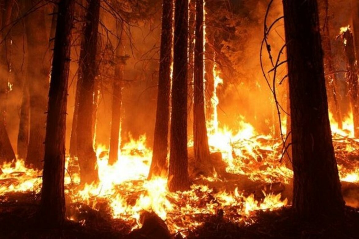 Smoke from Canada's wildfires reaches Norway