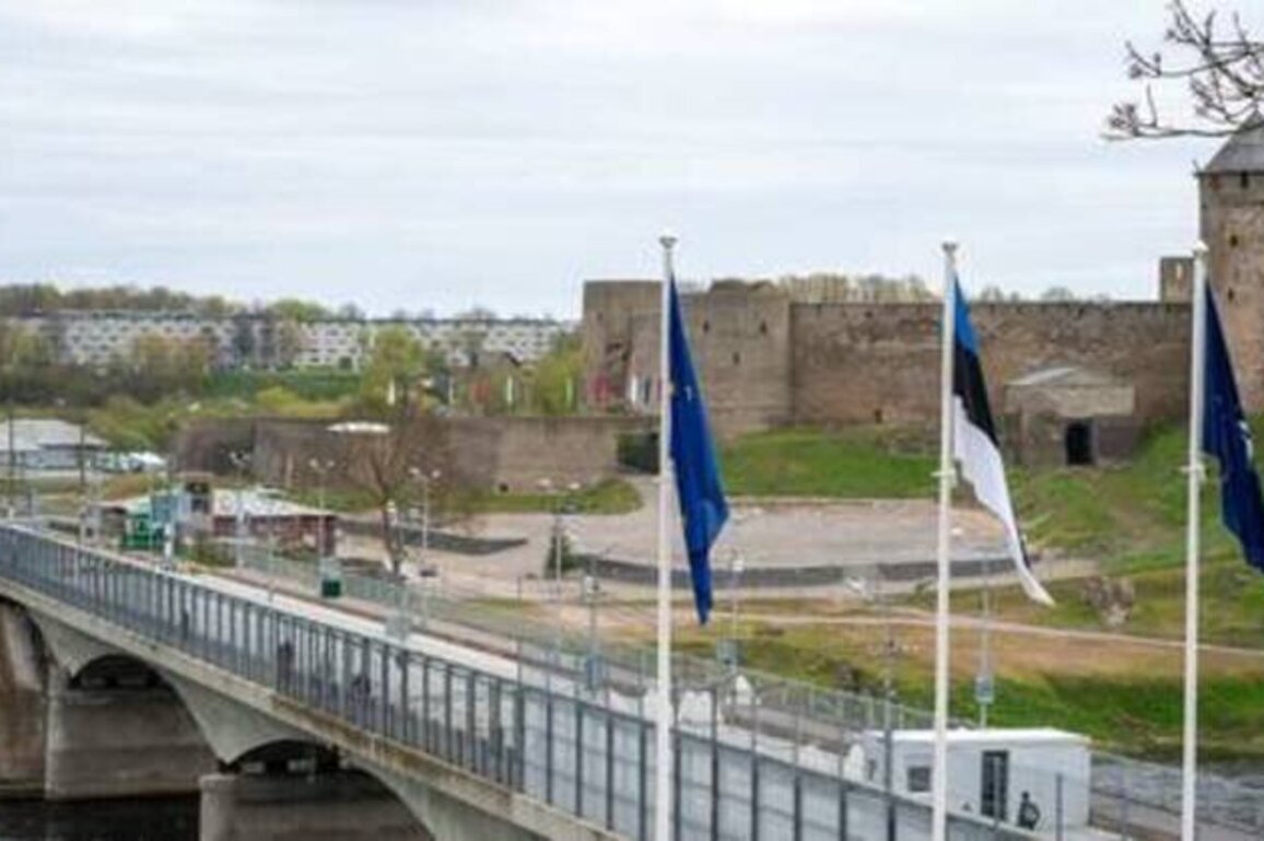 Moscow does not plan to attack NATO - Estonian intelligence