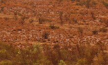 Rio Tinto landscape.