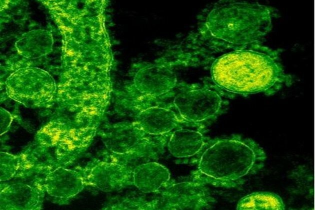 Scientists use common gene to profile microbial communities