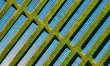 The Western Green Energy Hub includes a massive solar farm