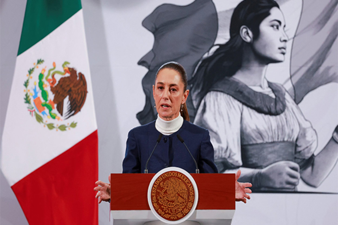 Mexico's President Sheinbaum rejects US military invasion amid cartel fight plans