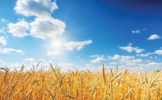 Horticulture levy could continue another year