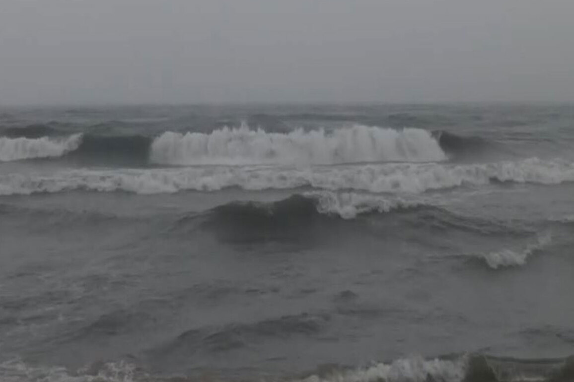 Tamil Nadu: All schools to remain closed due to heavy rain in Chennai