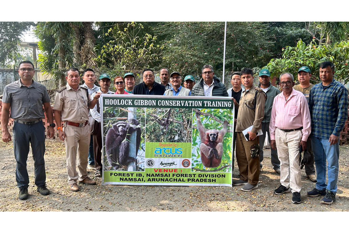 Forest staff trained to protect India's only ape in Arunachal's Namsai