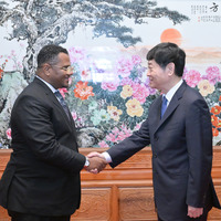CHINA-BEIJING-MU HONG-KENYA-UNITED DEMOCRATIC ALLIANCE DELEGATION-MEETING (CN)