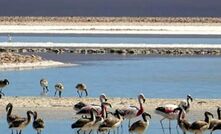  The salr de Punta Negra in northern Chile