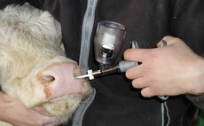 No issue with the supply of vaccines and veterinary medicines