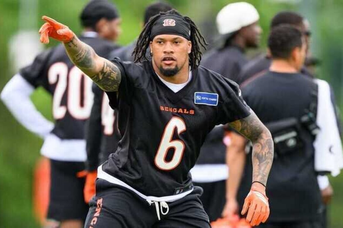 Emerging Bengals Leader Bryan Cook Gets Another Joe Burrow Shoutout