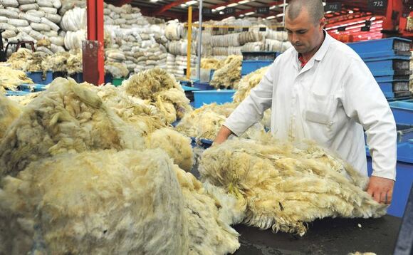 Optimism for wool market recovery