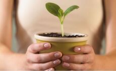 Growth to remain strong in 2010