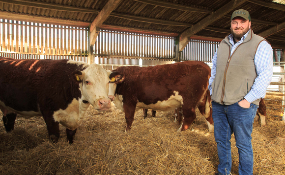 Beef special: Pedigree and commercial focus for Herefords on Oxfordshire farm