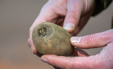 Early disease suppression opportunity for potato seed