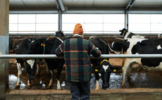 Introducing the finalists for the British Farming Awards Dairy Farmer of the Year 2025