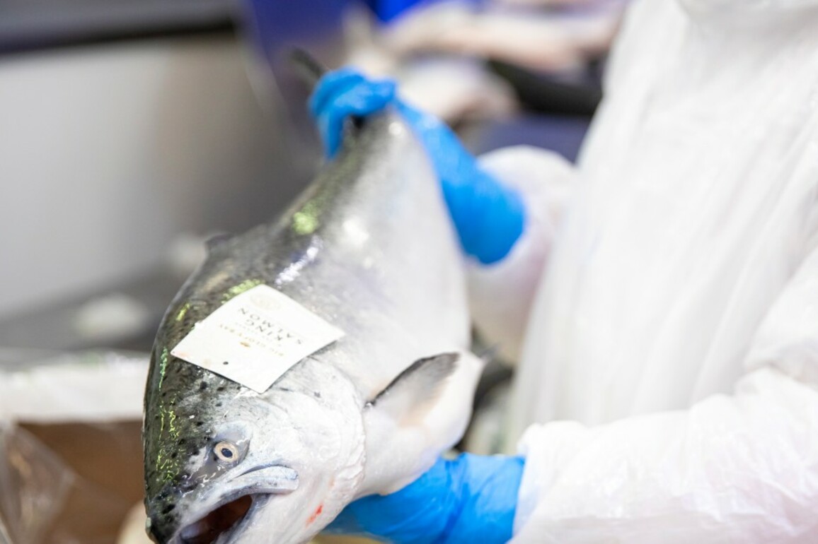 Sanford doubles half year profit to $34m