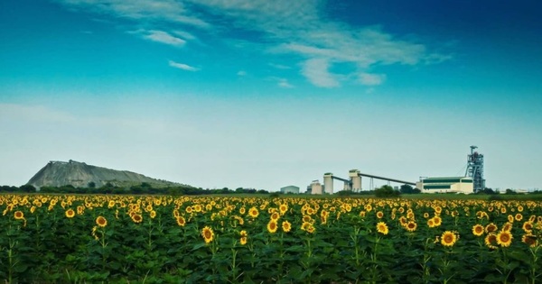Amplats spins out on JSE as Valterra