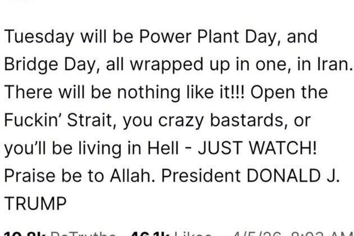 Stop the stupid! Donald Trump & Co have got to go