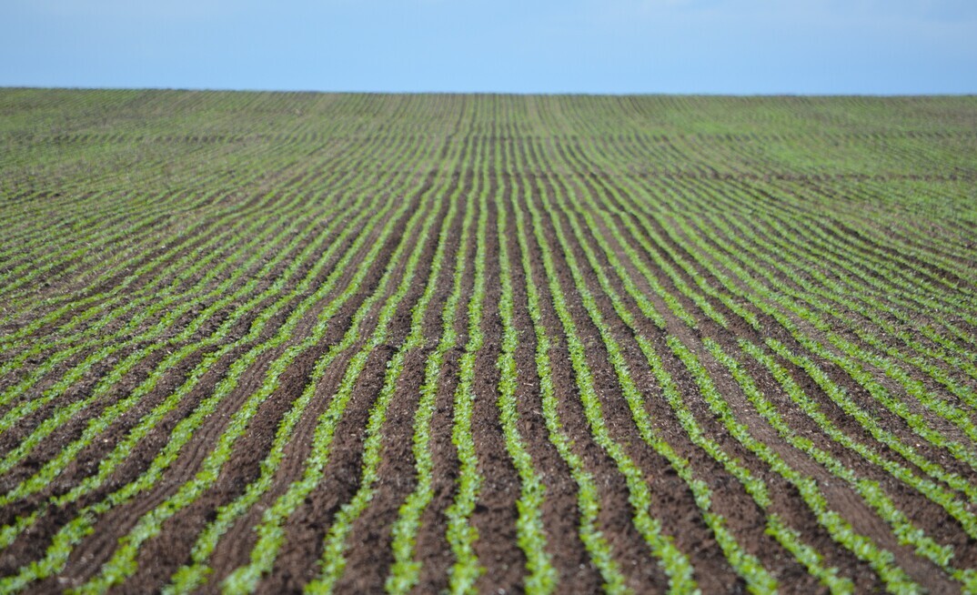 Australian engineers and scientists are working on developing new systems for manufacturing urea.