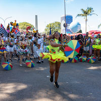 BRAZIL-SAO PAULO-CARNIVAL-PARADE