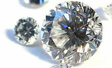 Members of the World Diamond Council will meet in India next week a the AGM