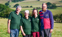 South Devon cattle deliver commercial returns with minimal inputs on County Durham farm 