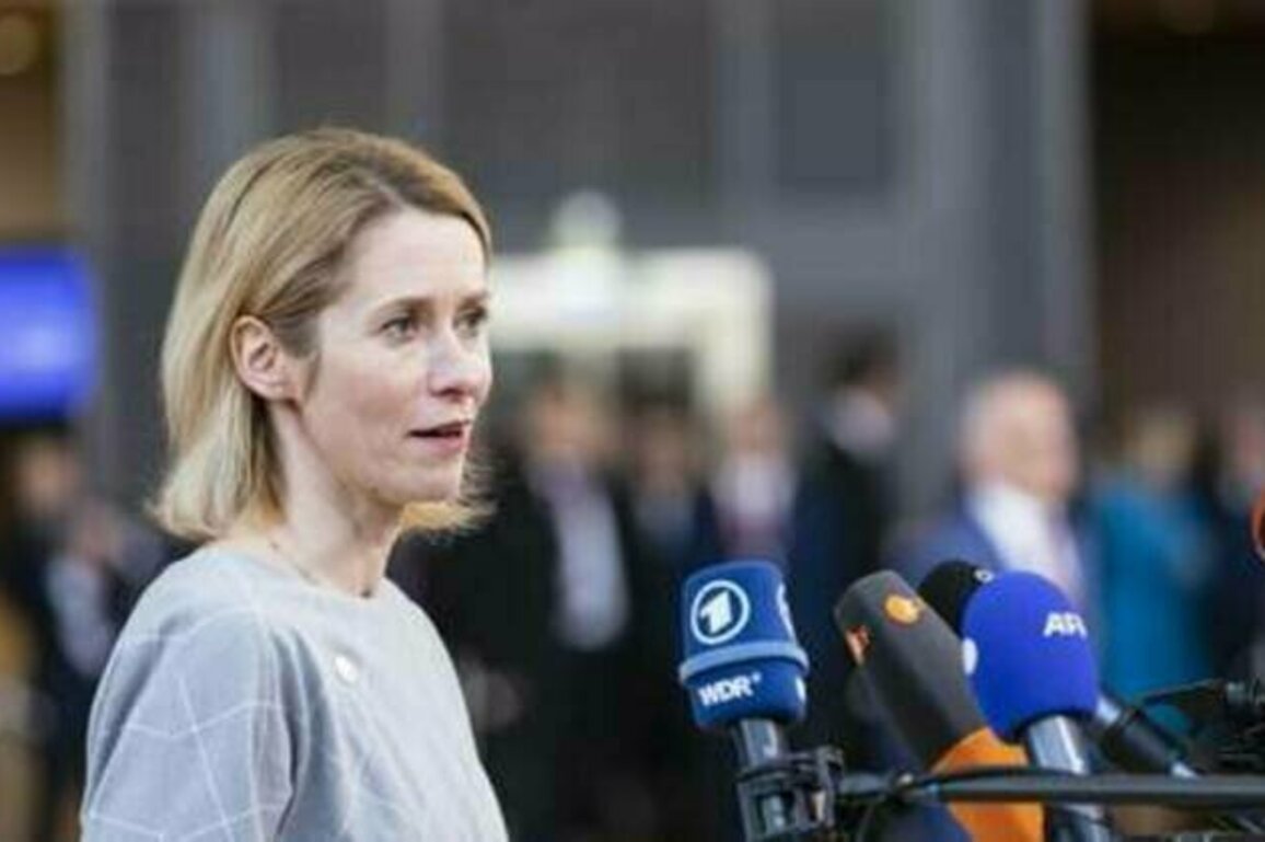 EU seeking to bypass opponents of Ukraine aid - Kallas