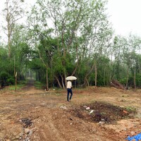 Raidurg land auction sets record as Telangana earns Rs 3,135 cr from two plots