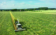 Use wholecrop as an 'insurance policy' for dairy rations