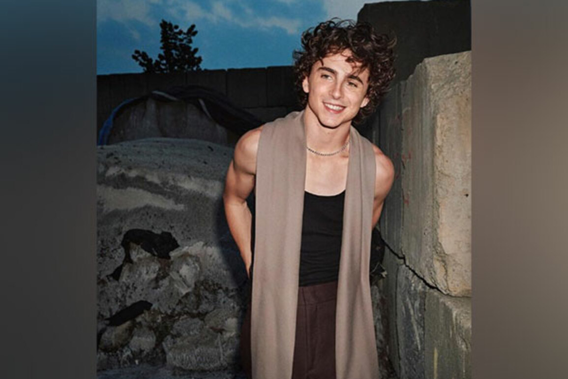 Timothee Chalamet to receive Italian Award for "cinematic excellence"