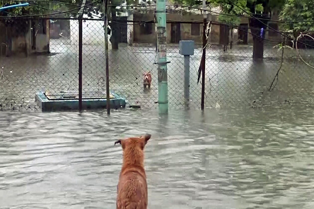 Gujarat govt's Health Department on high alert amid heavy rainfall; 24x7 control rooms activated
