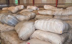 Average wool cheque prices for 2019/2020 'halved' due to Covid-19 global market closure