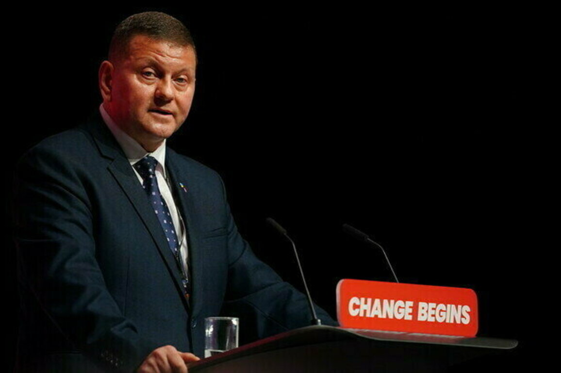 Ex-Ukrainian commander biding time to challenge Zelensky  Guardian