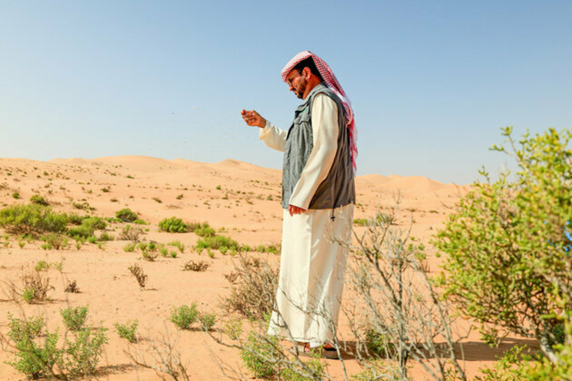 Environment Agency - Abu Dhabi disperses 6.5 million native seeds using drones