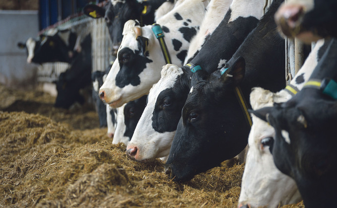 UK Dairy Day: Advice for feeding first and second cut silages after a challenging season