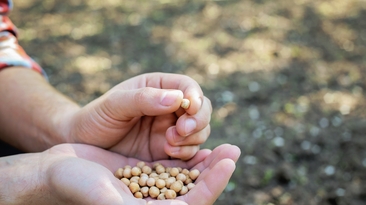 A new $13.6m plant-based protein project aims to help Australian growers supply pulses to suit a lift in demand.