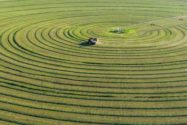 China shows degraded land can recover. The world is not paying enough, UN senior official says