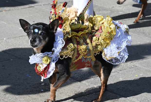 ITALY-VENICE-CARNIVAL-CLOSING