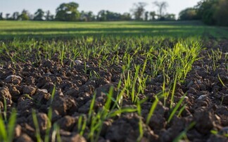 AHDB-led pilot shows a number of participating farms could already be beyond net zero