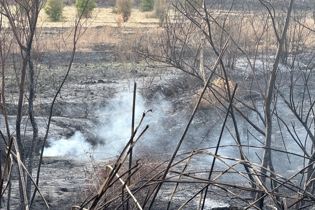 SYRIA-LATAKIA-WILDFIRES