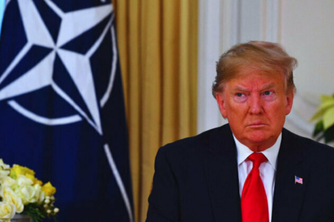 Trump Slams NATO: 'If They Dont Pay, I Wont Defend Them!'