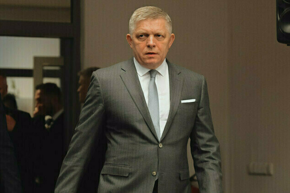 Veto ban would spell the end of EU  Fico