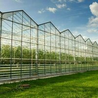 Why burning waste to power a giant greenhouse really could be a greener way of growing food