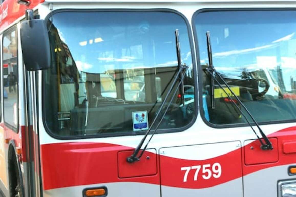 2 suspects charged after Calgary bus driver assaulted, police say