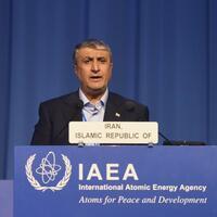 Iranian nuclear chief says Tehran may dilute 60 pct enriched uranium if all sanctions lifted