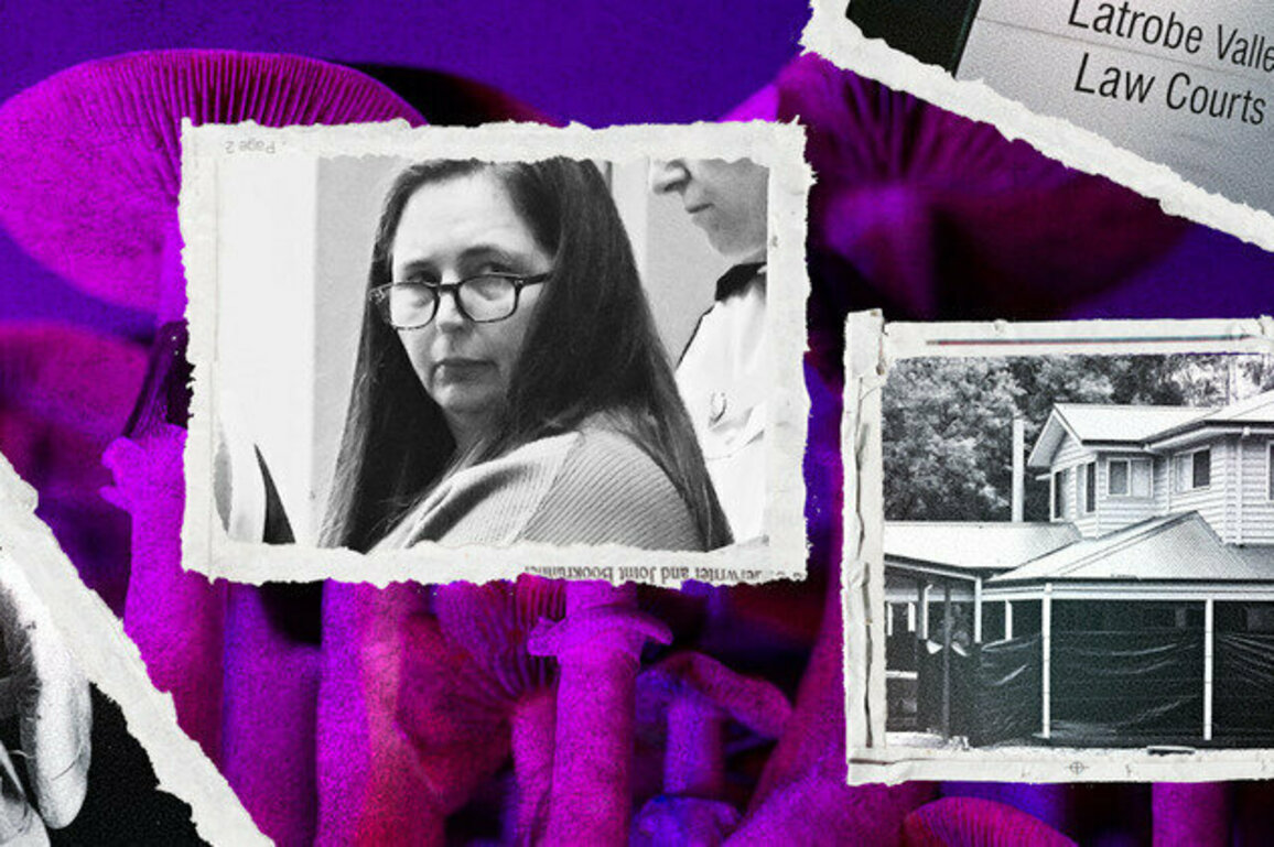Erin Patterson has been found guilty in the mushroom murder trial. Legal experts explain why