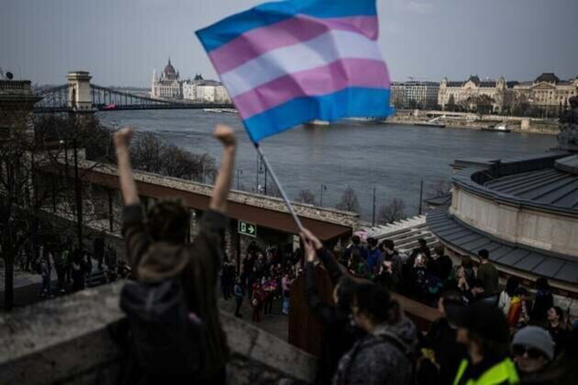 Hungary Bans Trans Rights Demonstration