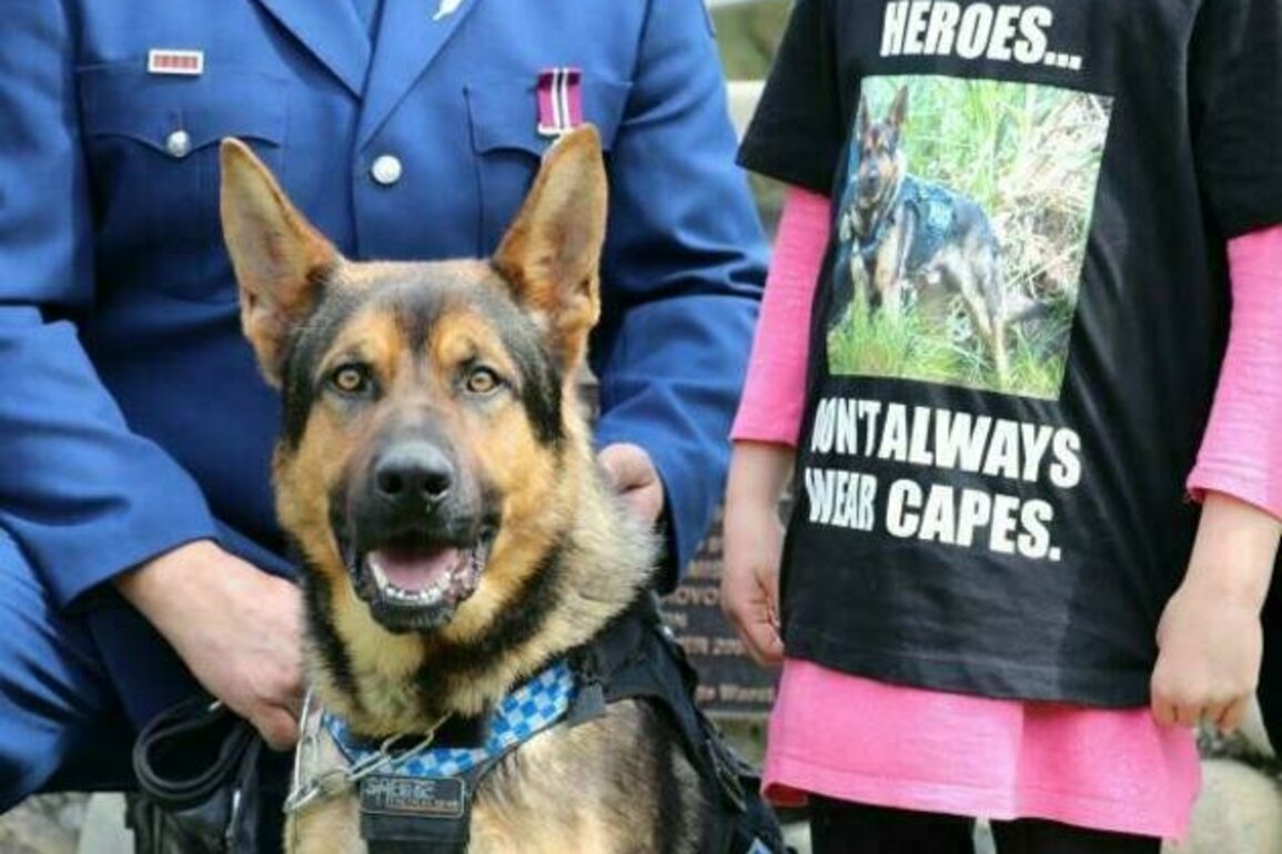 Media Advisory: Dog graduation