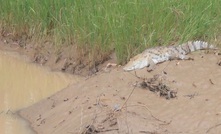 Snapshot ... Burkina Faso's big wet can bring seasonal perils to drillers 